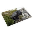 thumbnail image 3 of Print: Buffalo Statue Created By Alexander Phimister Proctor On Dumbarton, 3 of 4
