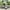 Grey Rattan,Grey Cushion,4PCS, variant on SEGMART 4 Piece Patio Furniture Set, All-Weather Outdoor Sectional Sofa Set, PE Rattan Conversation Set with Storage Box, Table & Cushions, Wicker Furniture Couch Set for Patio Deck Garden