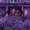 Purple, variant on ShengapQ Horror Gauze Curtain, Scary Halloween Decoration, Perfect for Parties and Events, Create Spooky Atmosphere, Ideal for Indoor and Outdoor Use