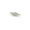 thumbnail image 1 of Juego de 24 unidades Fender para guitarra Fret Wire, estilo vintage, 1 of 2