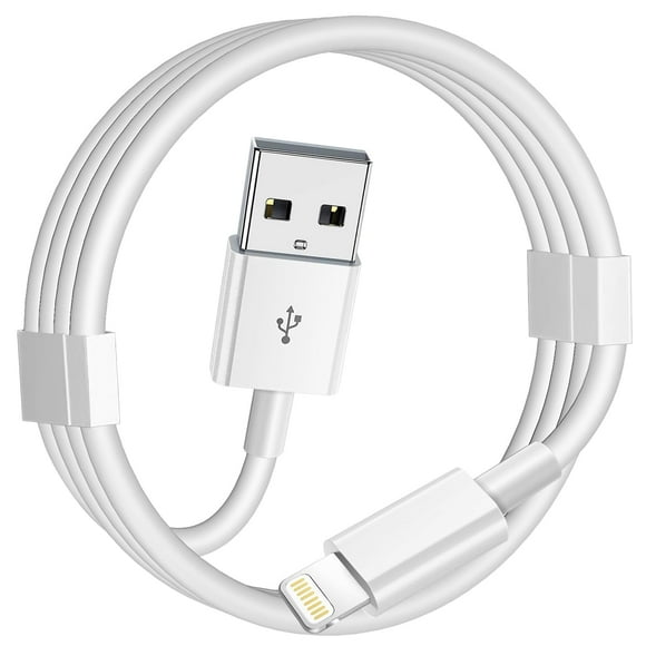 HWZWT Car Carplay Cable,3.3FT Car Charger Cord, USB A to Cable Fast Charging Cord Compatible for 14 13 12 11 XS XR X Pro Max Mini 8 7 6S 6 Plus 5S SE iPad iPod AirPods