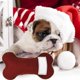 thumbnail image 3 of Calcetín navideño especial para mascotas, bolsa de calcetín con forma de hueso de gran capacidad, decoración de vacaciones para perros y mascotas, novedad de 2023, 3 of 4