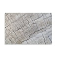 thumbnail image 2 of Gango Home Decor Weathered Wood I by Kathy Mahan (Printed on Paper); One 36x24in Fine Art Paper Giclee Print, 2 of 4