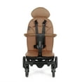 Evolur Cruise Rider Stroller, Coginac