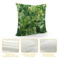 thumbnail image 4 of Leisuo Spring Farmhouse Pillow Cover Pillow Case Watercolor Light Green Four Leaf Lucky Clover Shamrock Pillowcase St Patrick’s Day Home Decor Cushion Case for Couch Sofa Chair, 4 of 5