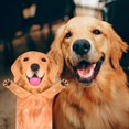 thumbnail image 3 of Toallas de mano AGRIMONY Golden Retriever, divertidas para cocina, 3 of 7