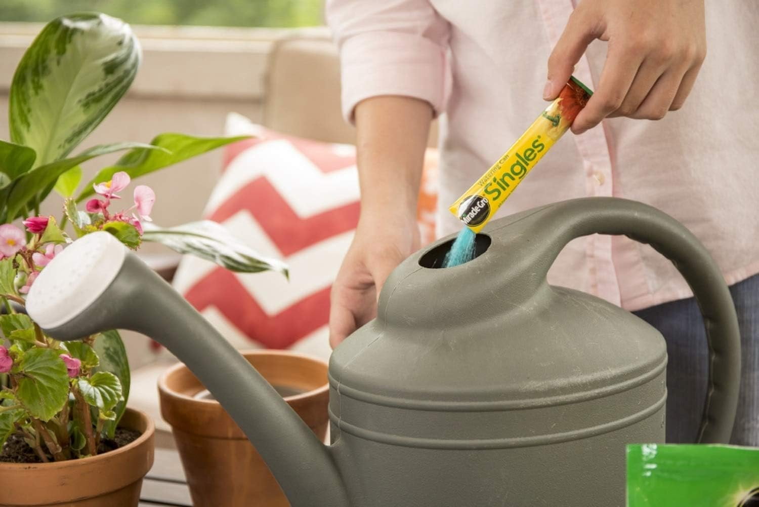 2-pack Miracle-Gro Watering Can Singles All Purpose Plant Food - Water Soluble - 2 Pack, 48 Packets — Outdoor & Indoor Plant Use, Easy Application