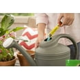 thumbnail image 4 of 2-pack Miracle-Gro Watering Can Singles All Purpose Plant Food - Water Soluble - 2 Pack, 48 Packets — Outdoor & Indoor Plant Use, Easy Application, 4 of 8