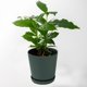 thumbnail image 5 of onlyliua Liquidación Macetas de Plástico Verde para Balcón, Huerto, Maceta Verde para Plantas, Contenedor con Base para El Hogar, Almacenamiento de Plantas Suculentas y Bonsáis., 5 of 7