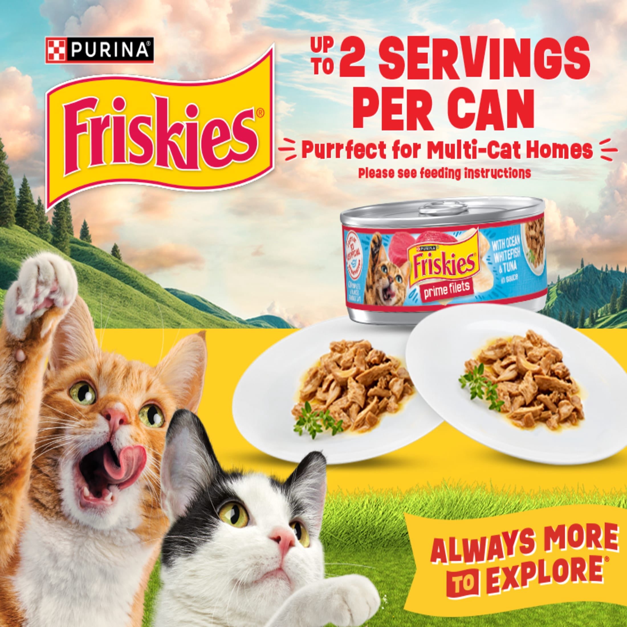 Purina Friskies Turchicken Gravy, Soft Variety Pack, Wet Cat Food, 5.5 oz Cans