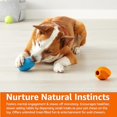 thumbnail image 2 of Juguete Para Perro Masticable Dispensador de Premios Pack 2, 2 of 8