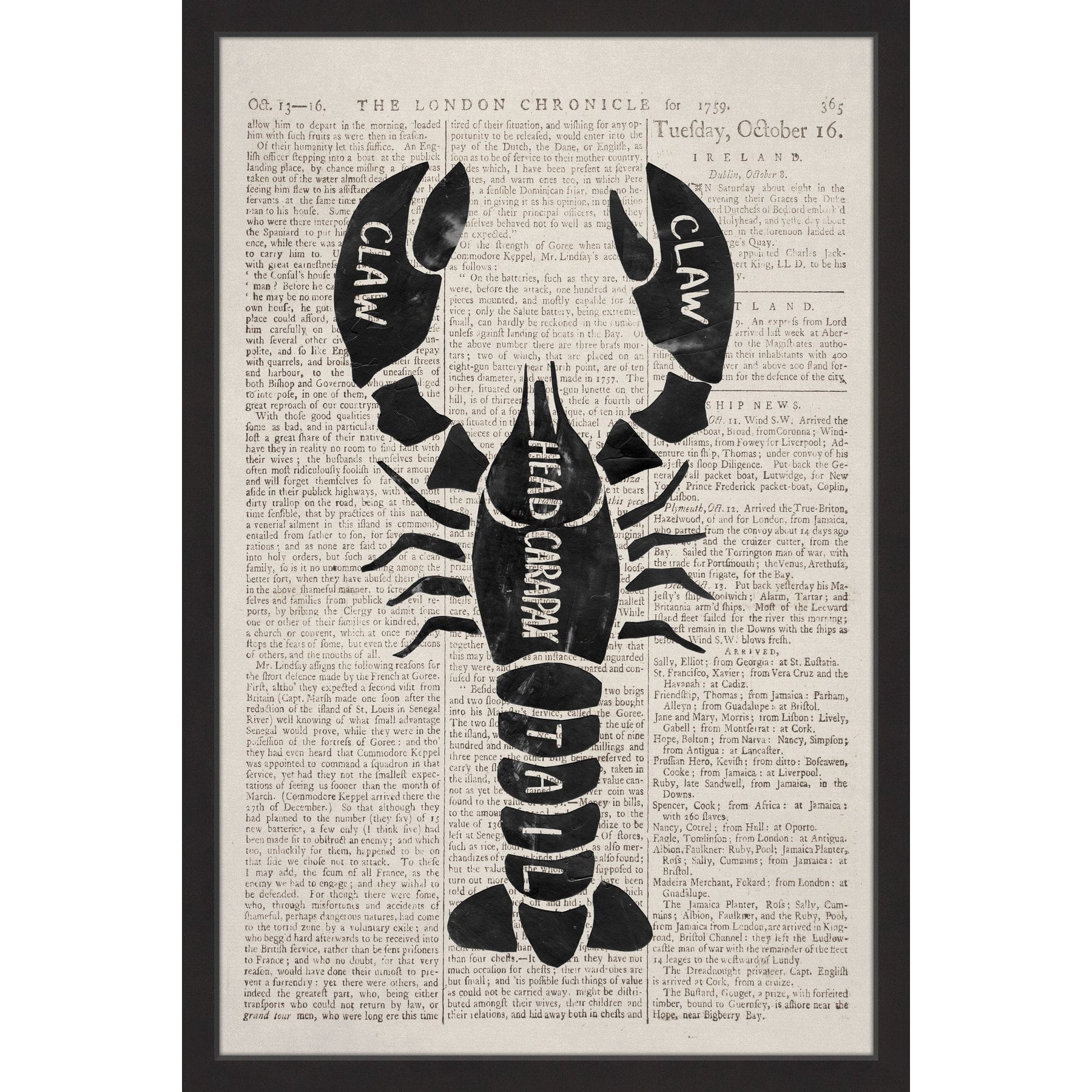 "Lobster Contour" Framed Painting Print