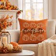 thumbnail image 5 of Fall Pumpkin Pillow Covers, Thanksgiving Decorative Pillow Case with Hidden Zipper Polyester Fabric, Autumn Harvest Home Decor for Sofa Couch Bed Bedroom, 17.7 x 17.7 Inch, 5 of 7
