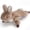 Rabbit, variant on Fuzzwoof FluffBunny Squeaky Dog Toy, Lifelike Rabbit Look Flat Toy with Super Soft Fabric, Puppy Teething Toy, Interactive Go & Fetch Toy for All Breeds