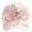 Pink2, variant on Garden Morning Baseball Cap for Women – Embroidered Bee and Flower Adjustable Hat – Lightweight Breathable Sun Cap for Spring and Summer – 1 Pack