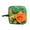 Orange, variant on Pebbuoy Pet Sniffing Pad Interactive Guinea Pigs Snuffle Mat Slow Feeding Rabbits Foraging Mat Small Pet Supplies