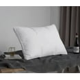 thumbnail image 1 of Royal Elite White Goose Down Chamber Lock Pillow, 1 of 4
