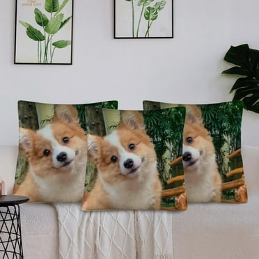 Cute Corgi Puppy Pillow Covers 19x19 Inch Set of 6, Adorable Fluffy Dog Decorative Throw Pillow Cases, Pet Animal Cushion Cover for Sofa Couch Bed Home Decor Gift