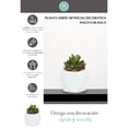 thumbnail image 5 of planta dec. suculenta blanca a, 5 of 5