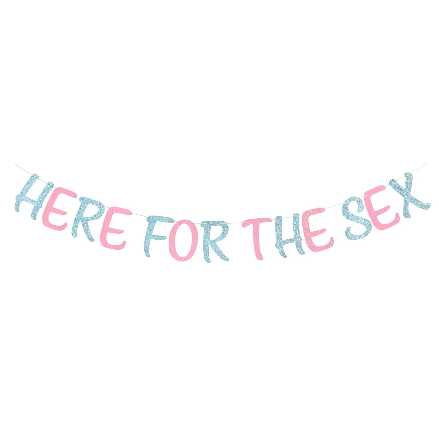 Glitter Here for the Sex Banner Gender Reveal Party Baby Shower Paper Garland - Pink or Blue