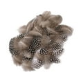 thumbnail image 7 of 50pcs Lots Dyed Guinea Hen Feather Chicken Feathers Craft, 7 of 7