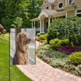 thumbnail image 2 of Wobogo Golden Retriever Garden Flag 12×18 Inch Double Sided For Outdoor Yard Decoration, 2 of 6