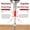 🍀C_Base#29313, variant on S2 Alloy PH2 Star Drill Screwdriver Bit Set 1/4-Inch Hex Shank Heavy Duty for Impact Drivers