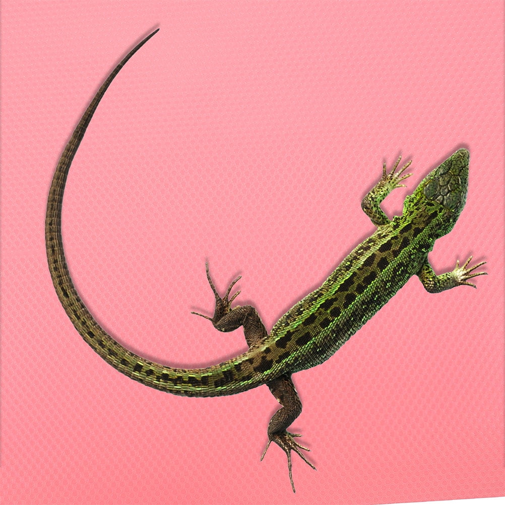 OFFIGAM Portable Pink Reptile Carpet for Terrarium Eva Soft Mat Suitable for Snake Gecko and Lizard