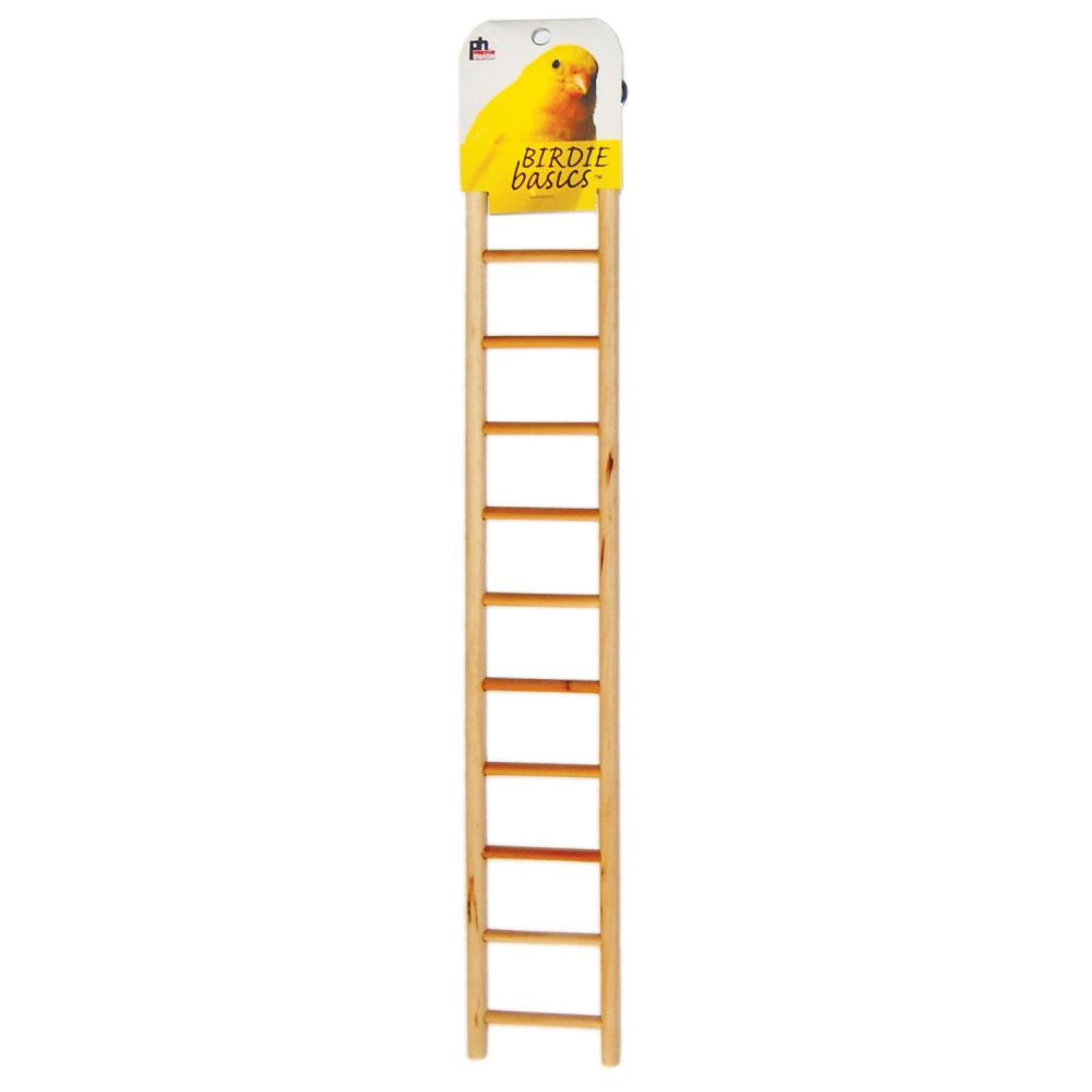 8-Inch Colors Vary Prevue Pet Products BPV01134 Carpenter Creations Hardwood Bird Ladder with 4 Rungs 