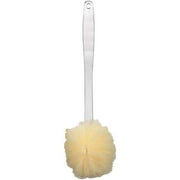 Bath Source Mesh Back Brush