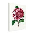 thumbnail image 2 of Unknown 'Grand Blooms V' Canvas Art, 2 of 3