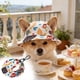 thumbnail image 1 of Sombrero para mascotas para perros y gatos pequeños: gorra transpirable de fibra de poliéster con hebilla ajustable, gorro para mascotas para exteriores que proporciona sombra y protección cont, 1 of 6