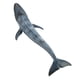 thumbnail image 5 of Figura de ballena en miniatura de juguete para colección, adorno decorativo para el hogar (ballena azul), 5 of 9