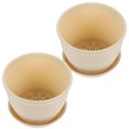 thumbnail image 2 of 2 Sets Flower Pot With Storage Tray Household Succulent Pot Plants Pot Home Decor, 2 of 9