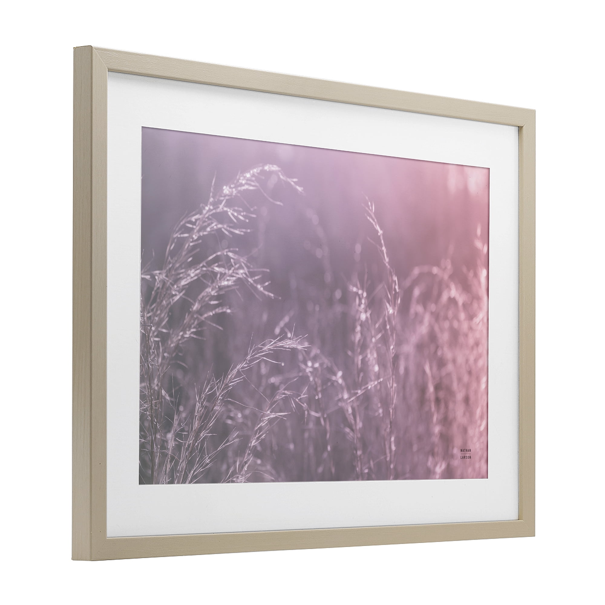 Stupell Industries Pink Meadow at Dawn Birch Framed Print Under Glass, design by Nathan Larson