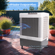 thumbnail image 5 of Cooler Enfriador Evaporativo Portátil ZETY Z-3600C - 40L, 5 of 8