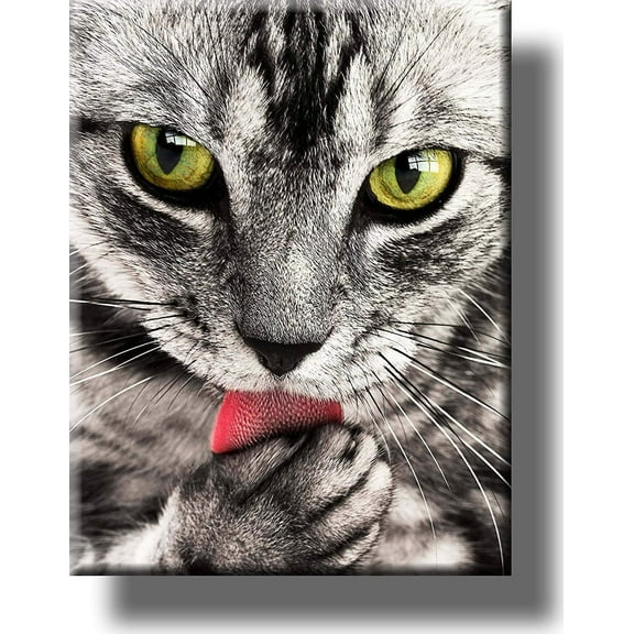 Cat Licking Paw Picture on Stretched Canvas, Wall Art D?cor, Ready to Hang!