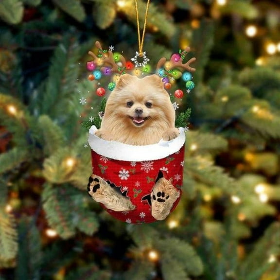 Acrylic 2D FLAT Pomeranian In Snow Pocket Christmas Ornament 1