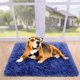 thumbnail image 5 of Alfombra Noahas 51x76 cm Shaggy Azul Marino Antideslizante de Peluche, 5 of 8