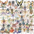 thumbnail image 1 of Pegatinas de insectos, 50 unidades, para diario, álbum de recortes, Transparent Vi, 1 of 2