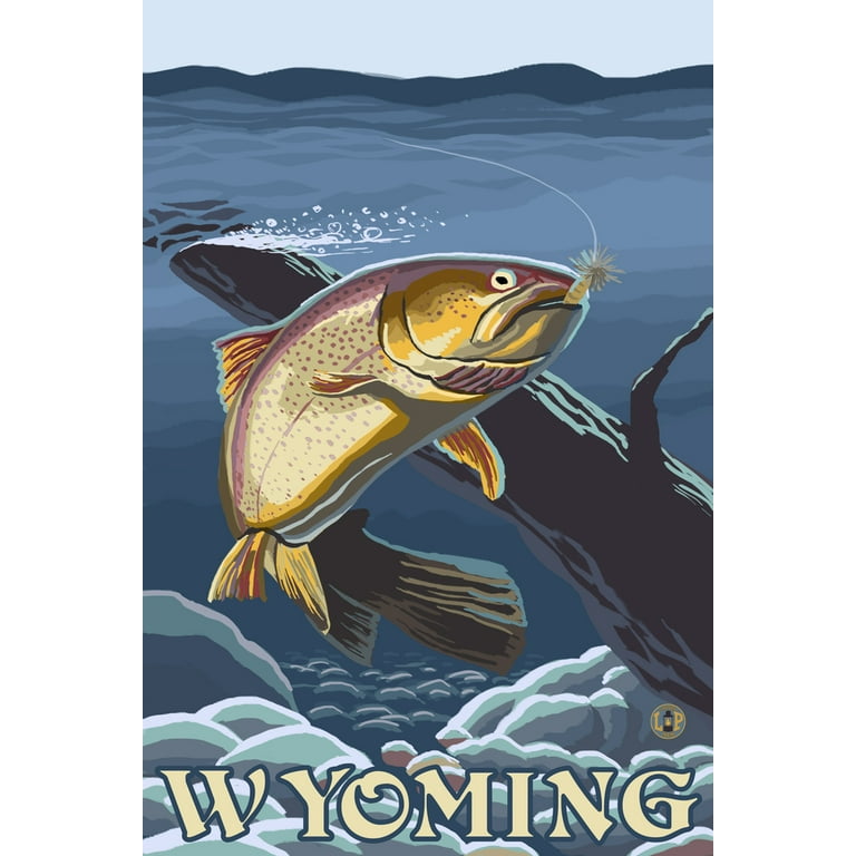 Trout Fishing Cross-Section, Wyoming (12x18 Wall Art Poster, Room Decor) 