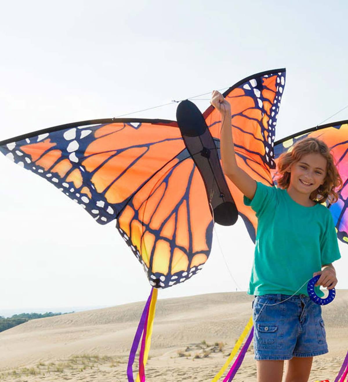HQ Kites Monarch "L" Butterfly Kite