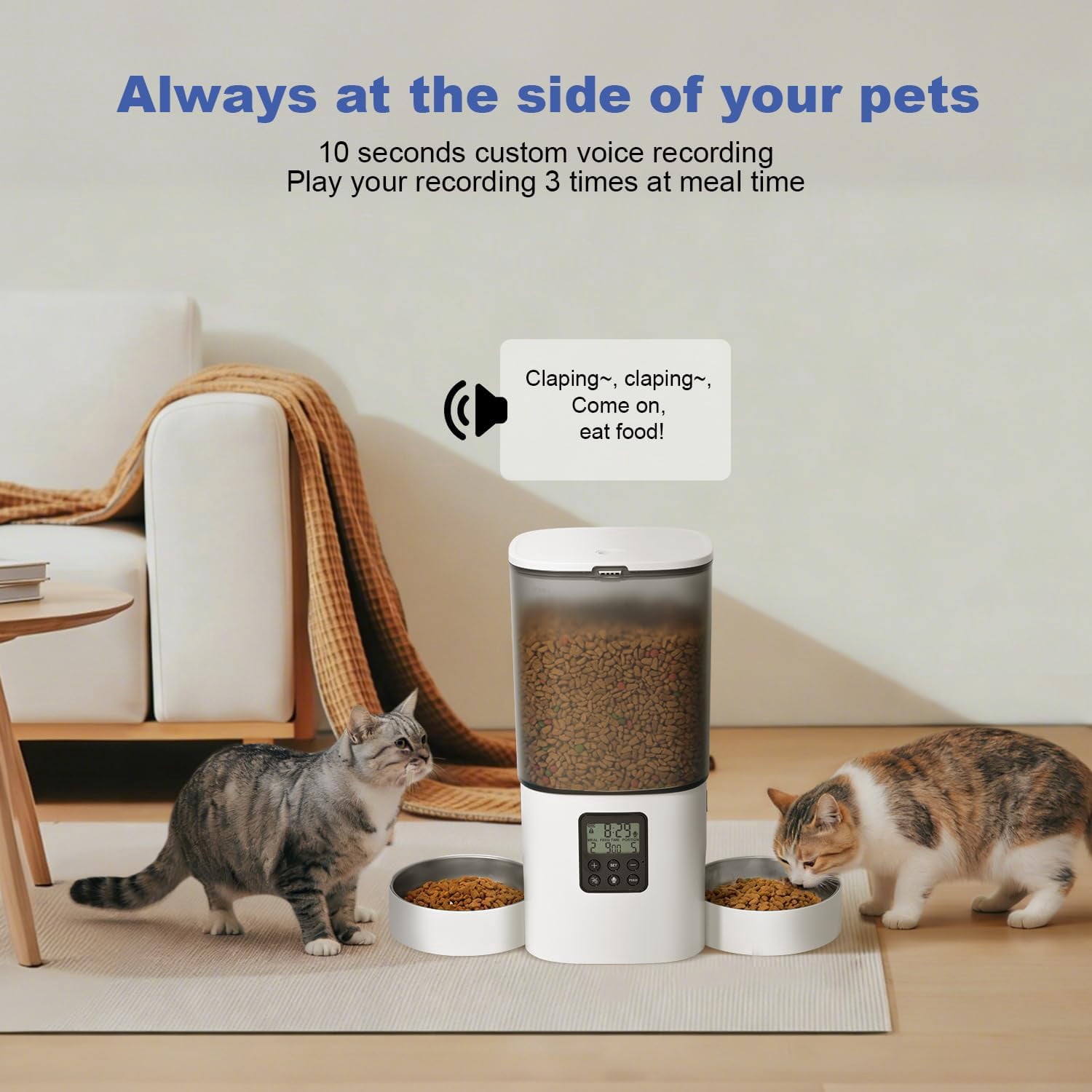 Automatic Cat Feeder 6L with Voice Recorder & Dual Power