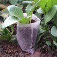 thumbnail image 3 of Bolsa De Plántulas Degradable No Tejida De 100 Uds., Bolsa De Plantación Para Flores Y Verduras Speravity HA026554-00, 3 of 7
