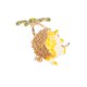 thumbnail image 1 of Broche De Animal, Joyería Broche De Erizo Pin aleación Encantador Para Hombres Y Mujeres Para Viajes De Trabajo, 1 of 7