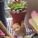 thumbnail image 5 of Contenedor de de resina con oso de para cactus, s pequeñas, resistente a corrosión, decoración para hogar, decoración de Soledad Maceta suculenta, 5 of 9