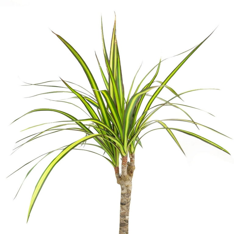 indoor plants stands Japandi Tiered Plant Stand | Home Decor