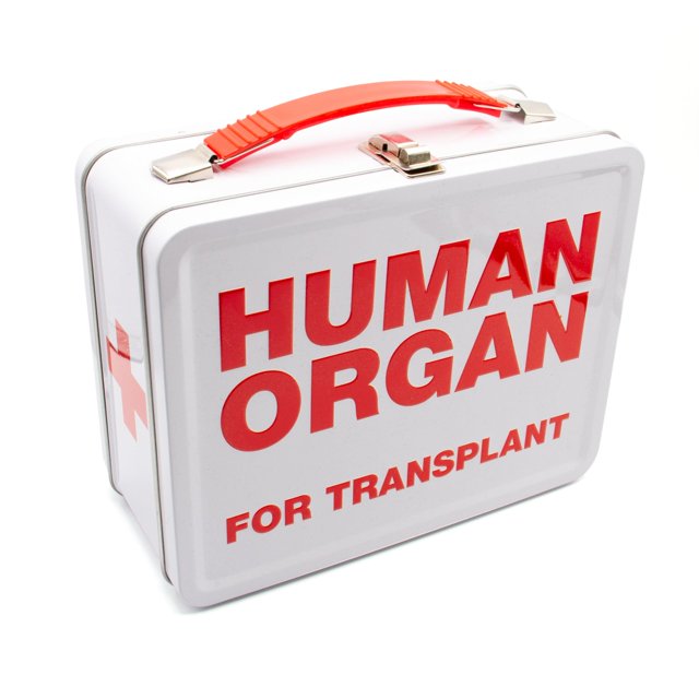 Caja de almacenamiento para órganos humanos AQUARIUS, caja grande y divertida