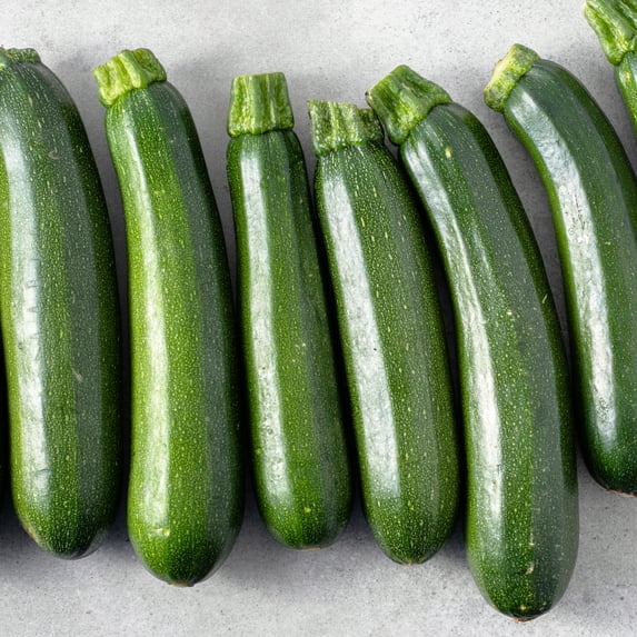Squash Seeds - Summer - Endurance BC-2 F1 - 25 Lb ~100,000 Seeds - Cucurbita pepo - Farm & Garden Vegetable Seeds - Non-GMO, Heirloom, Open Pollinated, Annual