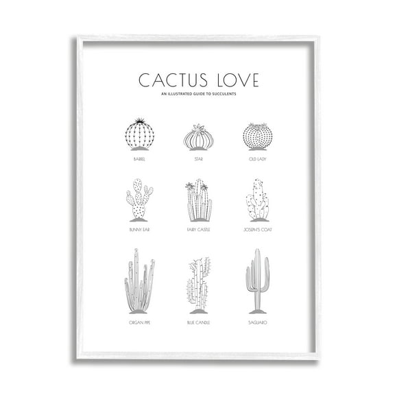 Stupell Industries Illustrated Guide to Succulents Minimal Modern Cactus Plant Graphic Art White Framed Art Print Wall Art, 24x30, by Martina Pavlova